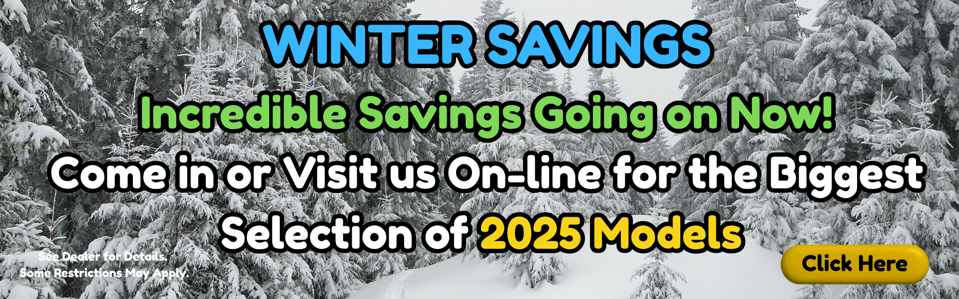 Winter savings 2025 models sell down banner